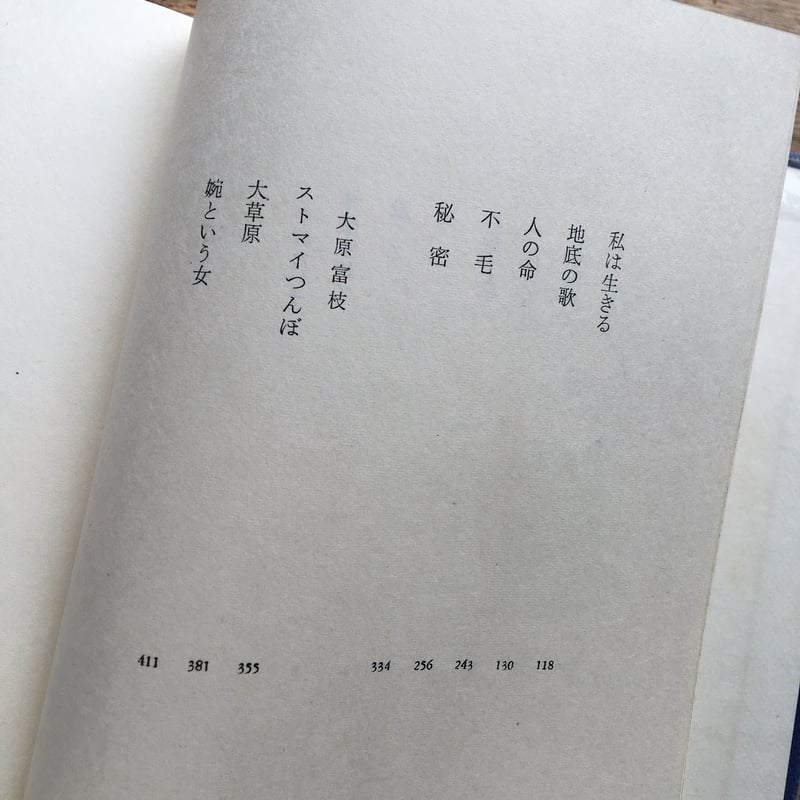 中央公論社『日本の文学 48 平林たい子・大原富江』（付録付） | ころ