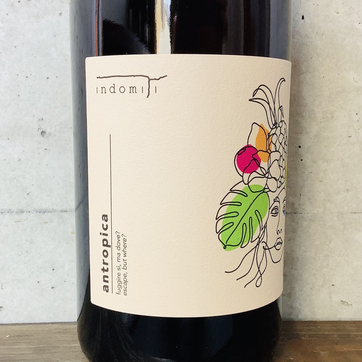 アントロピカ 2023 インドミティ / antropica 2023 Indomiti |