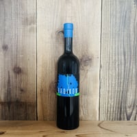 ヤーコット 2020 ラディコン 500ml / Jakot 2020 Radikon 500ml