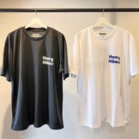 HENRY HAUZ DRY CT