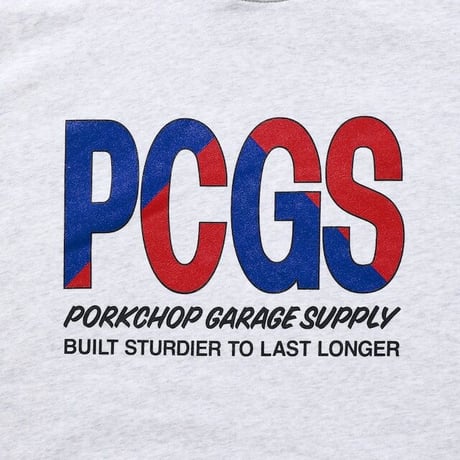 BIG PCGS HOODIE