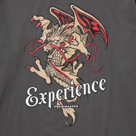 T-SHIRTS L/S DRAGON