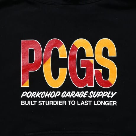 BIG PCGS HOODIE