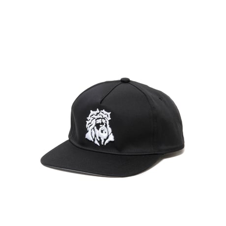 T/C TWILL 5 PANEL CAP