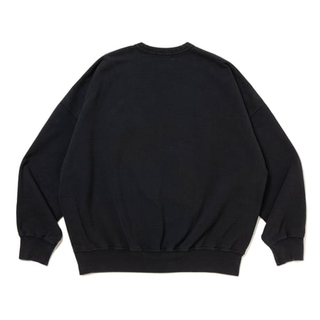 AD PROCESSING SWEAT CREW