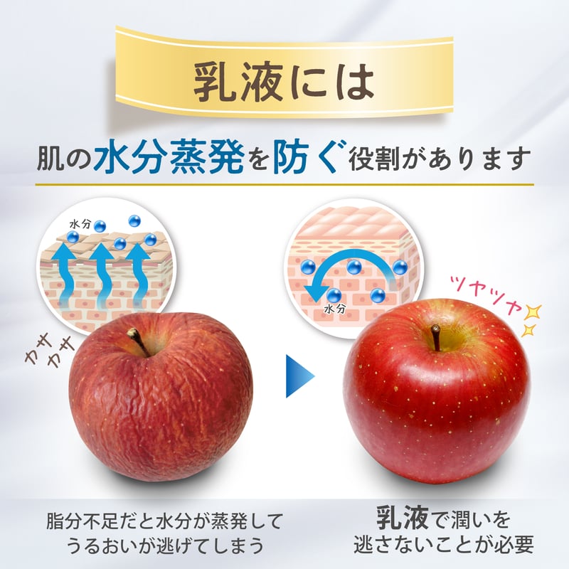 Re-Soft リソフト 乳液 シリーズのお仕上げとして 100ml 優しい