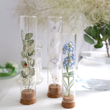 植物標本 No.3｜I wish you the best of luck