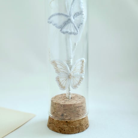 植物標本 No.2｜When the butterflies sleep