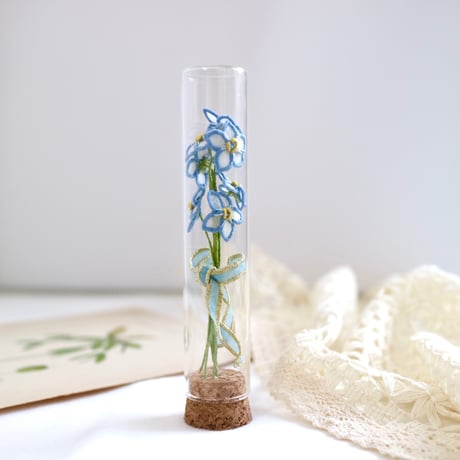 植物標本 No.1｜Myosotis/Forget-me-not