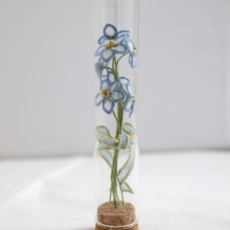 植物標本 No.1｜Myosotis/Forget-me-not