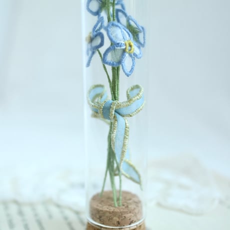 植物標本 No.1｜Myosotis/Forget-me-not