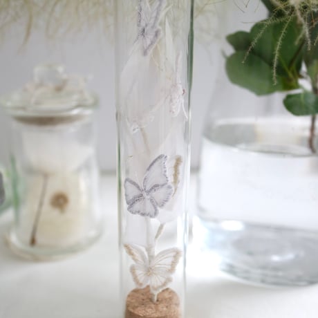 植物標本 No.2｜When the butterflies sleep