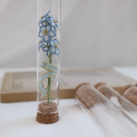 植物標本 No.1｜Myosotis/Forget-me-not