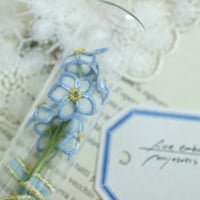 植物標本 No.1｜Myosotis/Forget-me-not