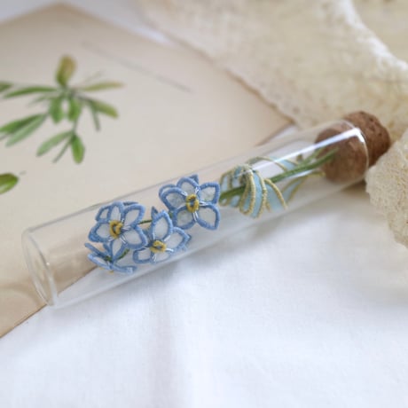 植物標本 No.1｜Myosotis/Forget-me-not