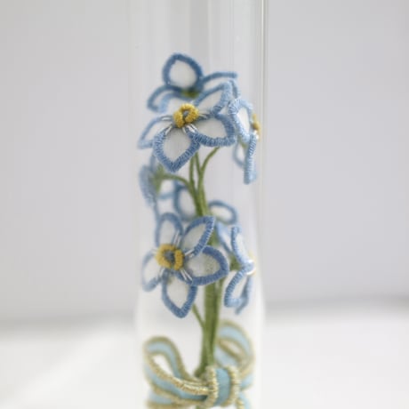 植物標本 No.1｜Myosotis/Forget-me-not