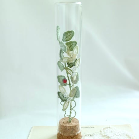 植物標本 No.3｜I wish you the best of luck