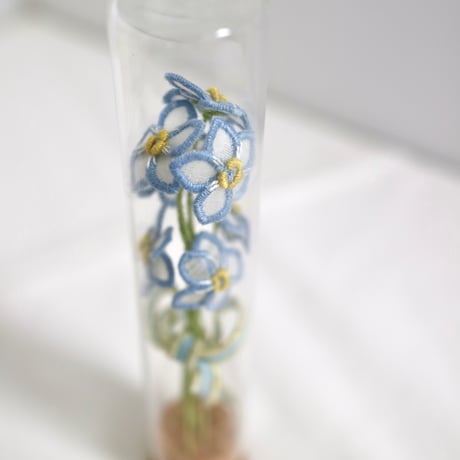 植物標本 No.1｜Myosotis/Forget-me-not