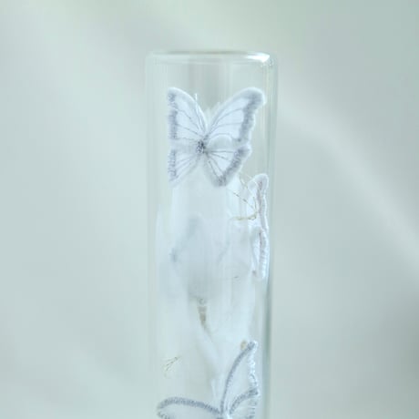 植物標本 No.2｜When the butterflies sleep