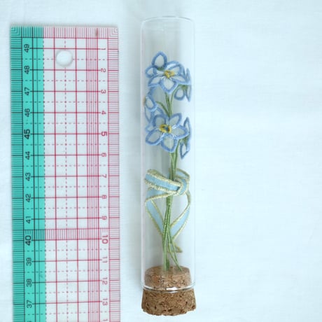 植物標本 No.1｜Myosotis/Forget-me-not