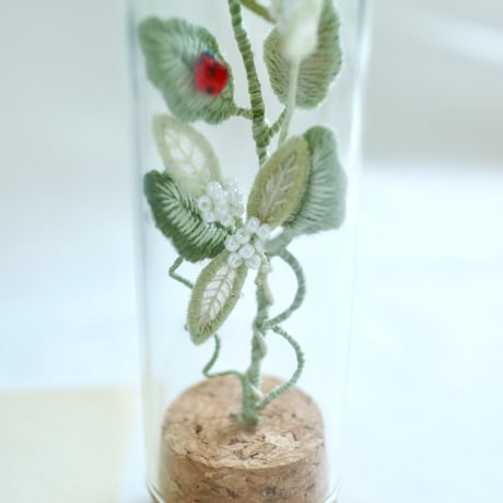 植物標本 No.3｜I wish you the best of luck