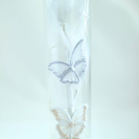 植物標本 No.2｜When the butterflies sleep