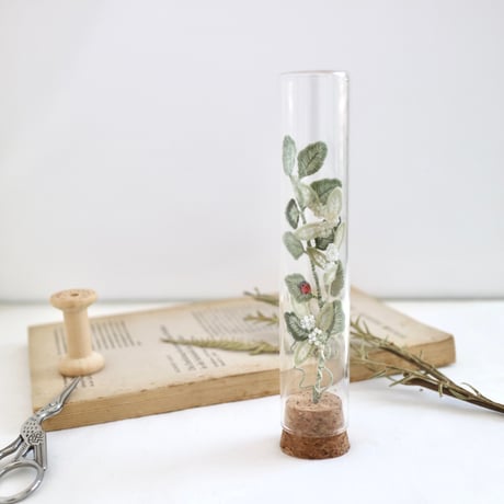 植物標本 No.3｜I wish you the best of luck