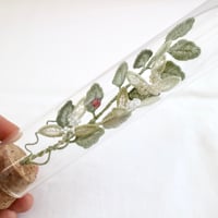 植物標本 No.3｜I wish you the best of luck
