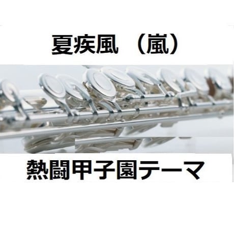 【フルート楽譜】夏疾風（嵐）（フルートピアノ伴奏）