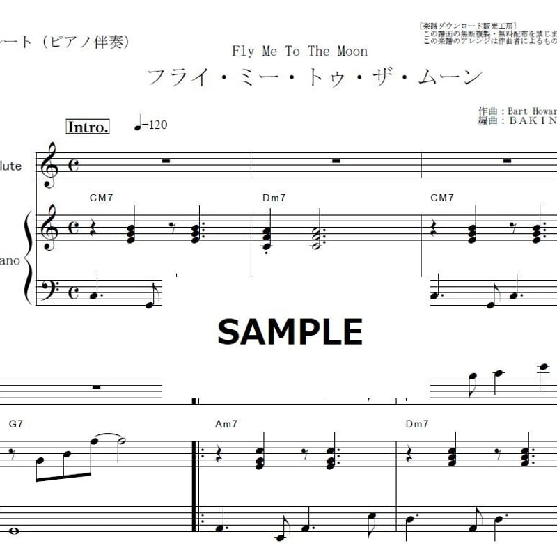 YFL311 フルート　教本、楽譜付き DOREMI ドレミ楽譜出版社 フルート 教本 初歩の初歩入門 管楽器