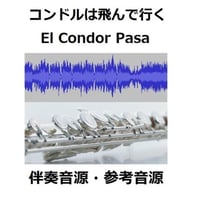 【伴奏音源・参考音源】コンドルは飛んで行く(El Condor Pasa)（フルートピアノ伴奏）