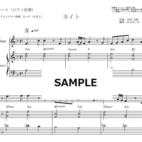 【フルート楽譜】カイト（嵐）「米津玄師」※簡単キー（フルートピアノ伴奏）