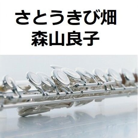 【フルート楽譜】さとうきび畑（森山良子）（フルートピアノ伴奏）
