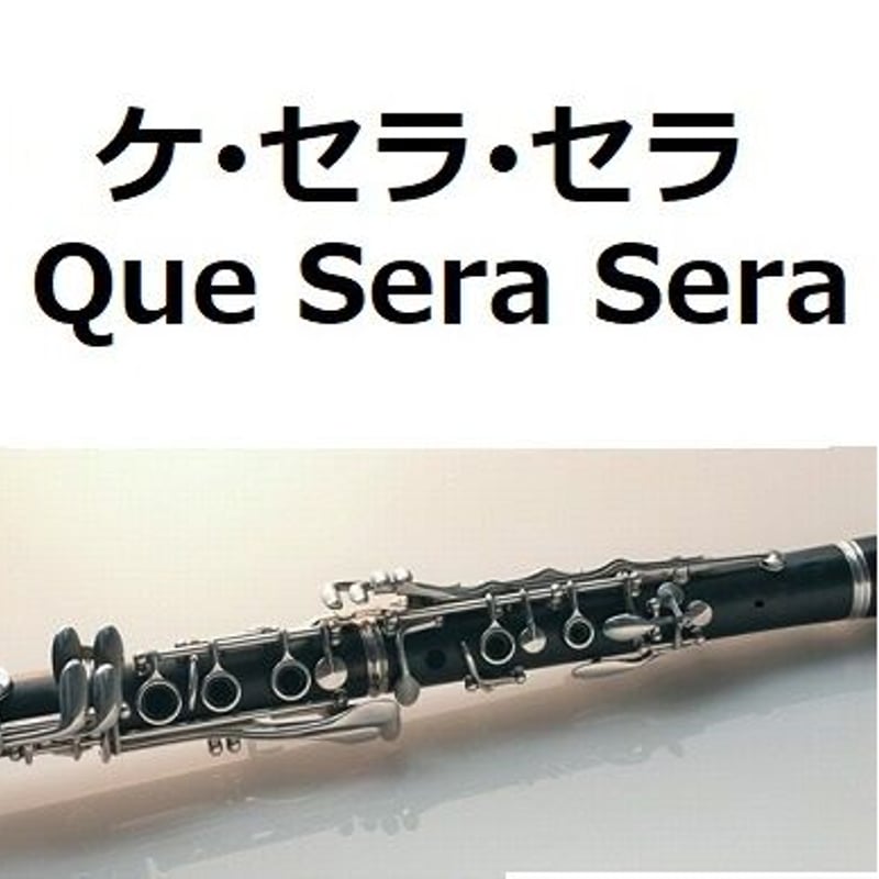 セゲルケ クラリネットバレル U 67mm グラナディラ 【公式通販】