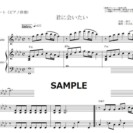 【フルート楽譜】君に会いたい（ザ・ジャガーズ）（フルートピアノ伴奏）