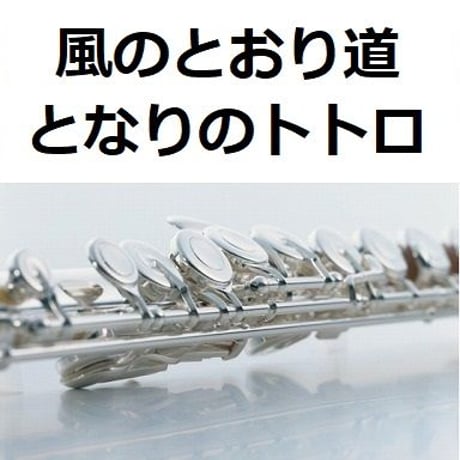 【フルート楽譜】風のとおり道「となりのトトロ」スタジオジブリ（フルートピアノ伴奏）