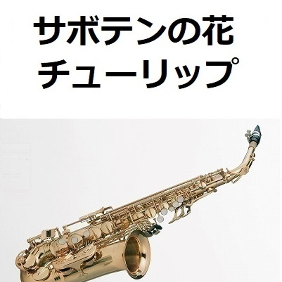 66c2b512c0e0b804ec982e4e