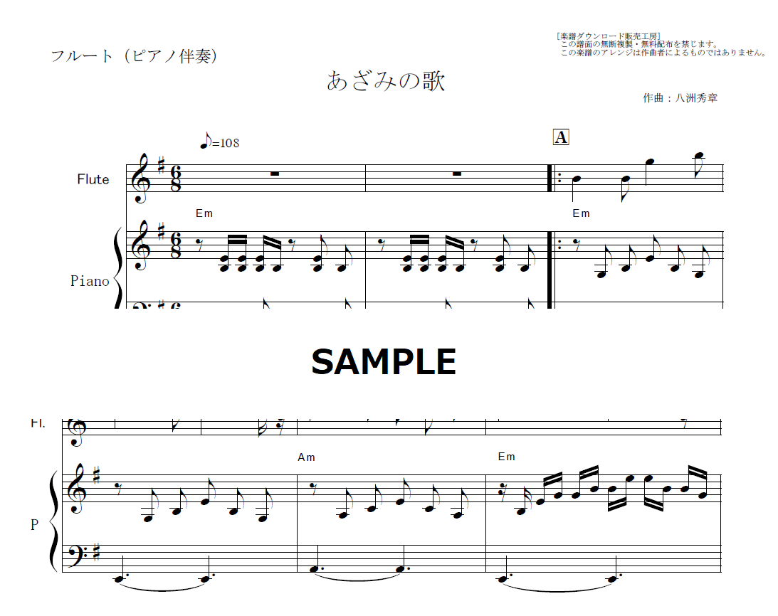 フルート＆説明書　楽譜 DOREMI(ドレミ楽譜出版社) フルート 教本 初歩の初歩入門 管楽器