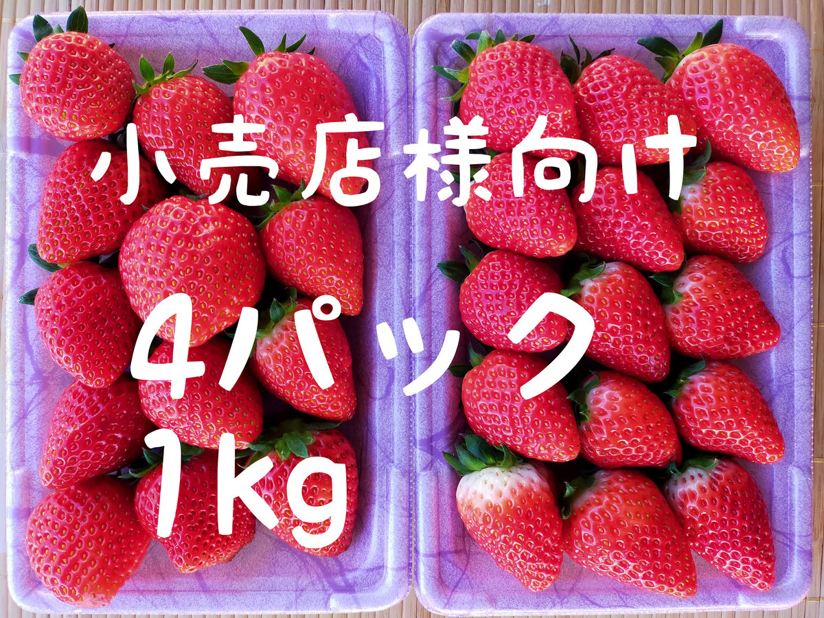 業務用 八ヶ岳産いちご 250gx4 | ありがとまと農園