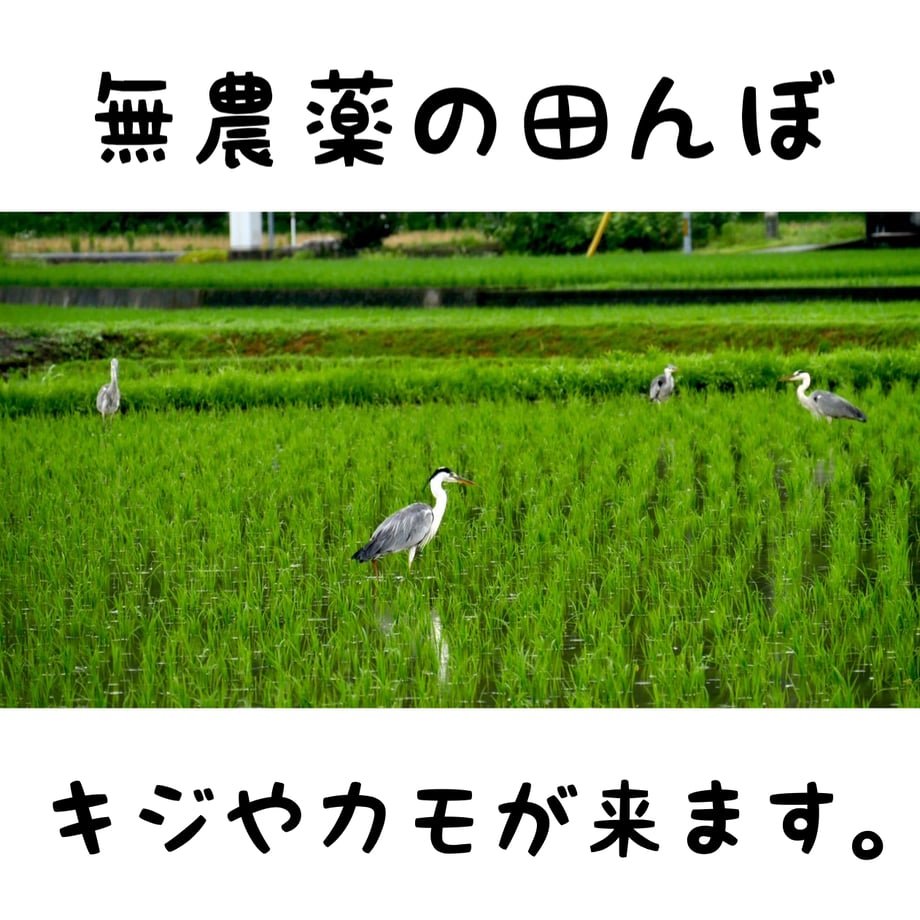 654a9fc712d039090cb0e035