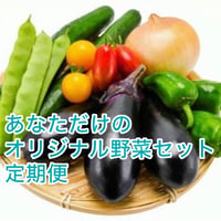 あなたのだけのオリジナル野菜セット 隔週定期便