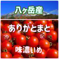 行列ありがとまと！ 1万人以上の方が購入！味濃いめ！農薬は薄め！ リピ率もNO.1    お子様も大好き！八ヶ岳産