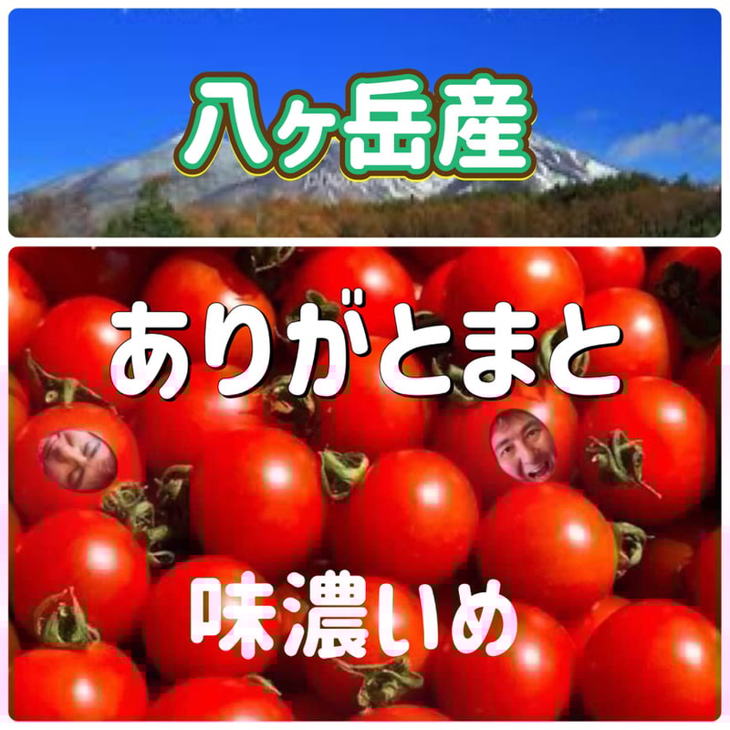 八ヶ岳産　行列ありがとまと 約10kg バラ 味が濃いめ　農薬肥料薄め お子様も 八ヶ岳産 行列ありがとまと 約10kg バラ 味が濃いめ 農薬肥料