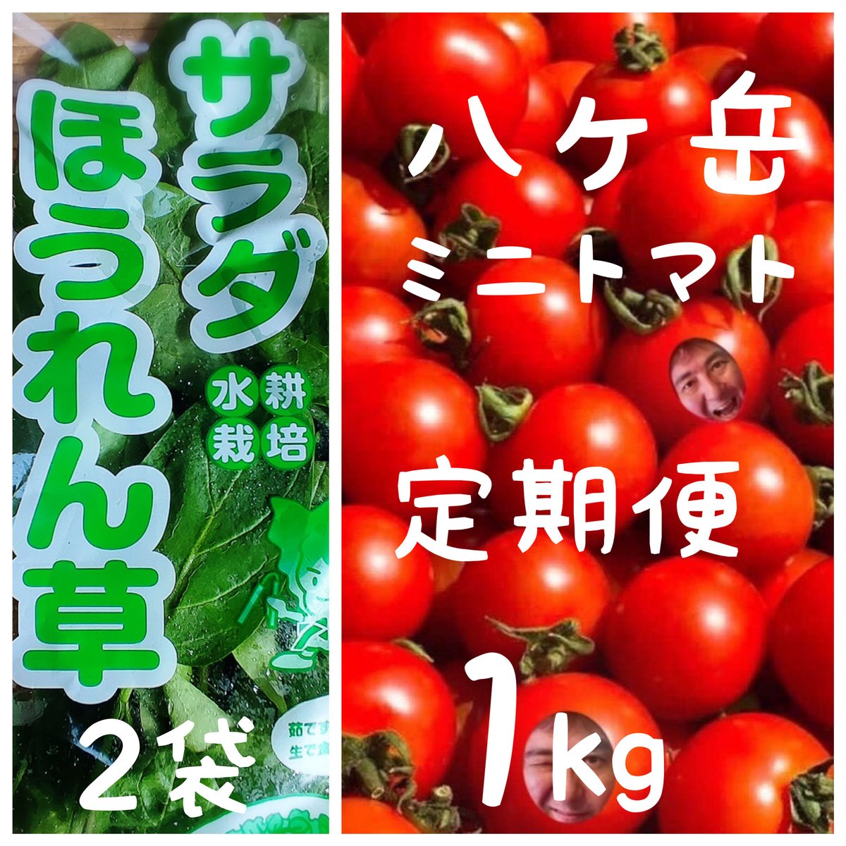 トマト akbl004.jpg