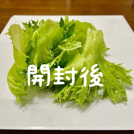 マジカル レタス！　省スペース・長持ち・時短　開封すると元通りふっくら^ ^