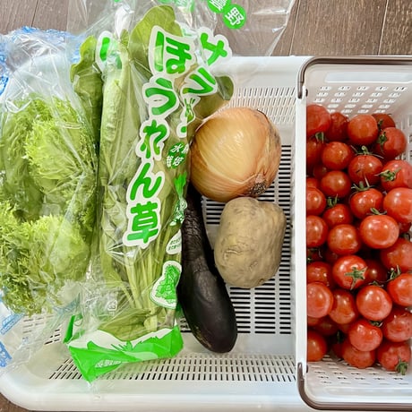 【定期便】無農薬野菜セット（ありがとまと、レタス、ほうれん草他）