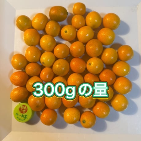 無農薬　金柑　ありがきんかん！　甘味が多く、皮ごとまるかじりOK！お弁当にも！（