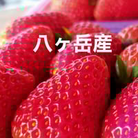 おそらく日本初！🍓いちごの定期購入できたよ！ 4パック　安心！1回だけでも解約可！冬場は農薬不使用