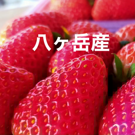 商品一覧 | ありがとまと農園