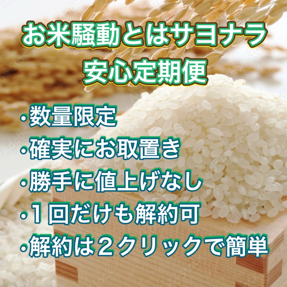 6771f658fc29e81a249c6ca9